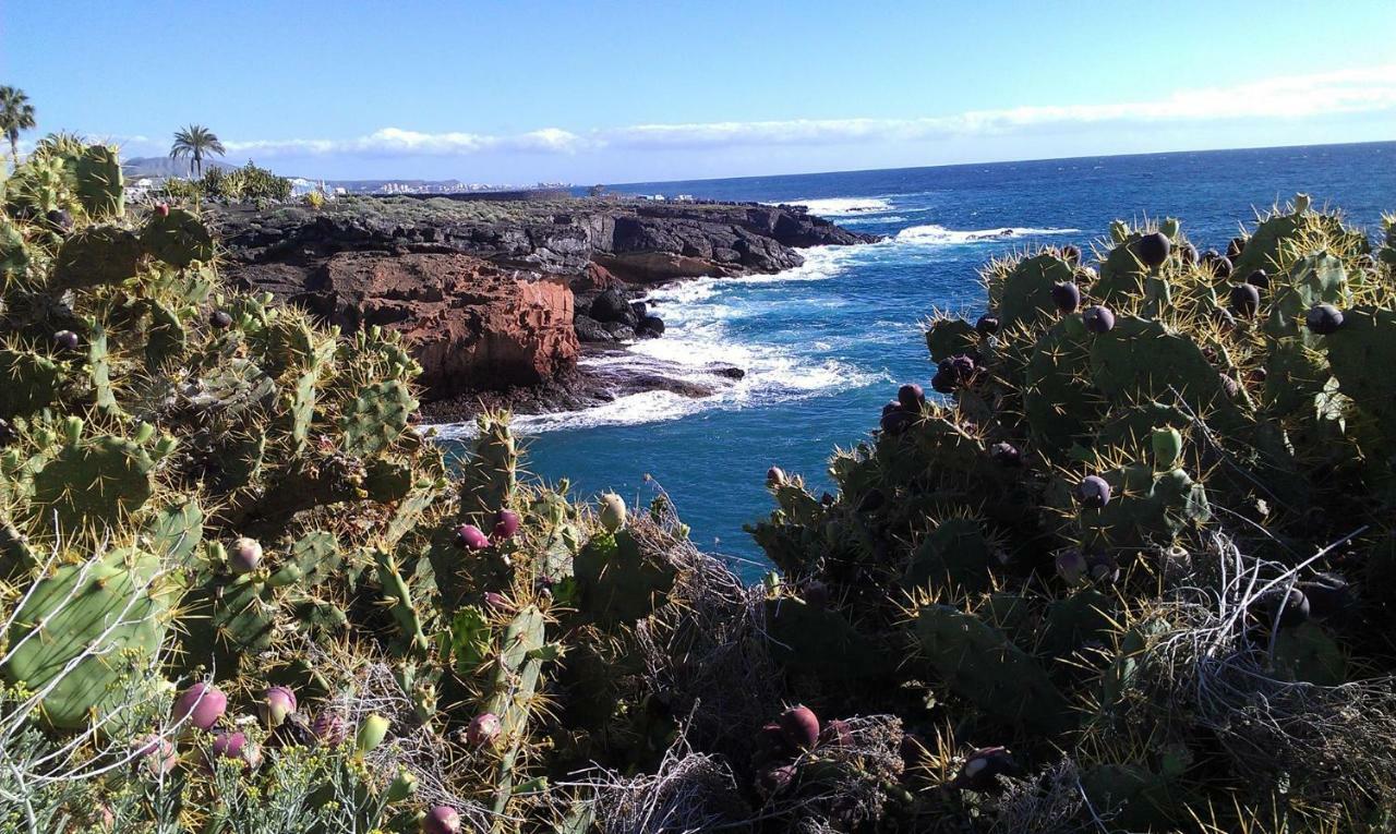 Ocean View Studio Costa Adeje  Exteriör bild